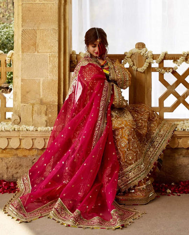 MNR Mohsin Naveed Ranjha Wedding 2023