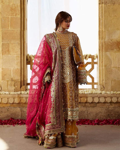 MNR Mohsin Naveed Ranjha Wedding 2023