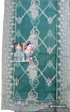 MNR Mohsin Naveed Ranjha Bridal Studio 2024 Hit Code Lehnga