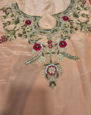 Ranisa Zari Work 2025